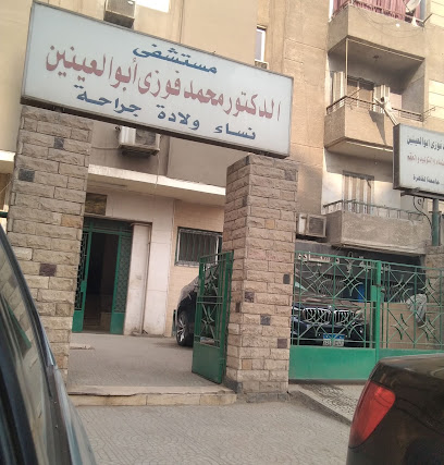 محمد فوزى أبو العينين