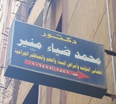 Mohamed Diaa Mounir