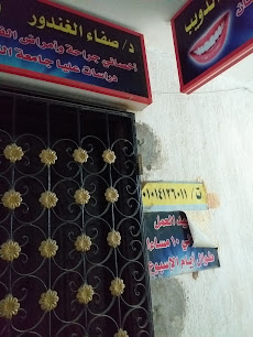 صفاء الغندور