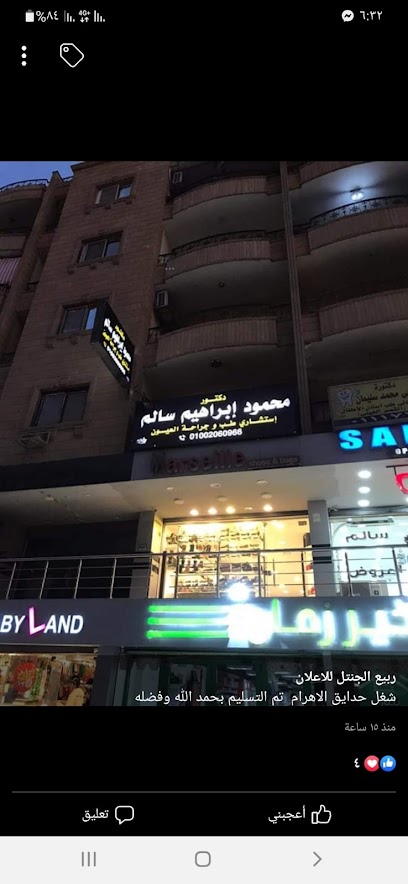 محمود سالم
