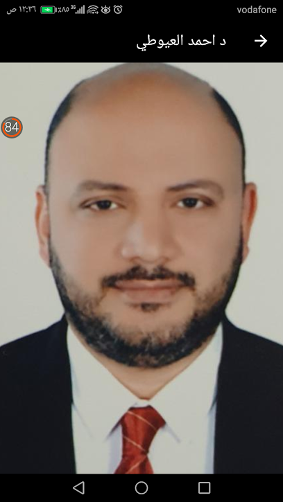 Ahmed Hassan El-Aywty