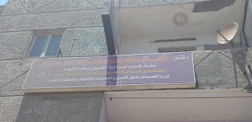 Hany Mahmoud Smwr