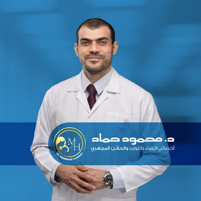 محمود حماد