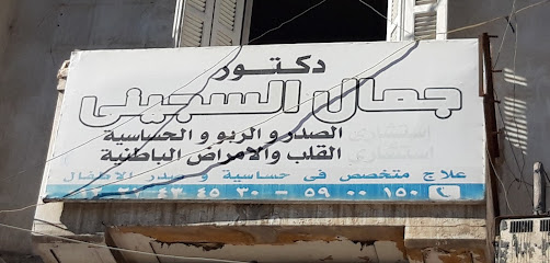 Gamal El-Sgyny