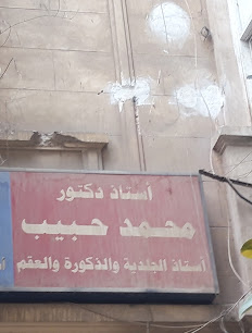 محمد حبيب