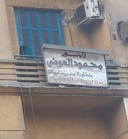 Mahmoud El-Awdy