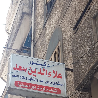 علاء الدين سعد