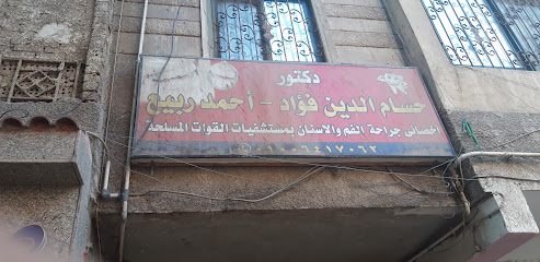 حسام الدين فؤاد