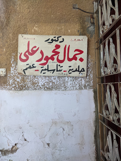 جمال محمود على