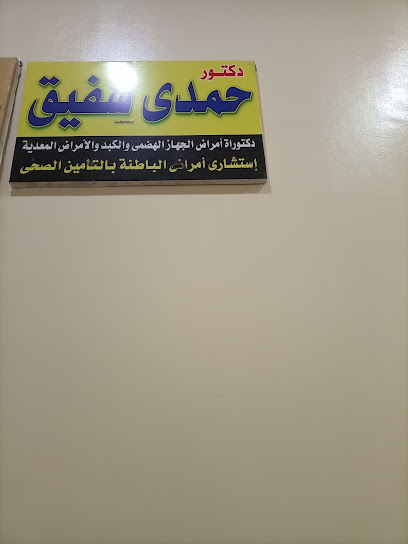 Hamdy Shfyk