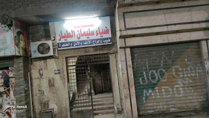 ضياء الطيار
