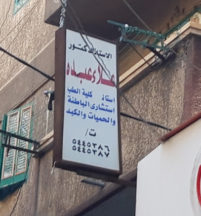 علاء عبده