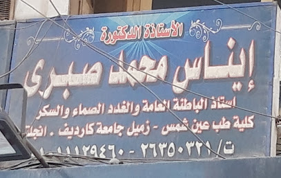 إيناس محمد صبرى