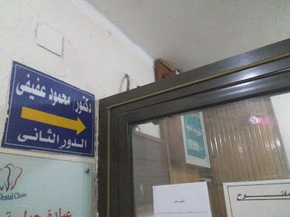 محمود عفيفى