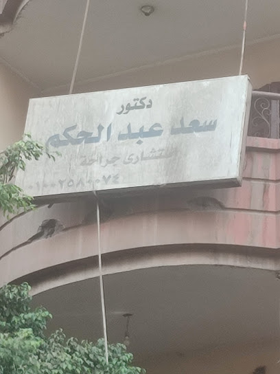 سعد عبد الحكم