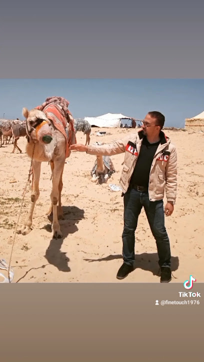 محمد المصرى