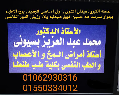 Mohamed Abdelaziz Bsywny