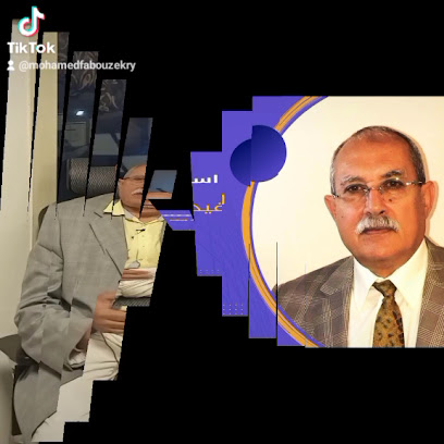 Mohamed F Abou Zekry