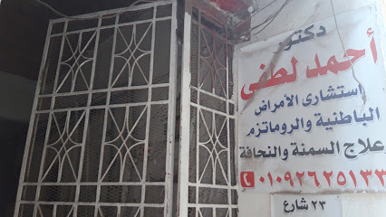 أحمد لطفى
