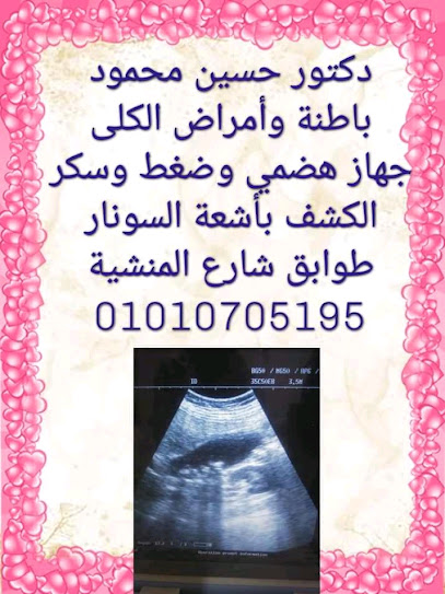 حسين محمود