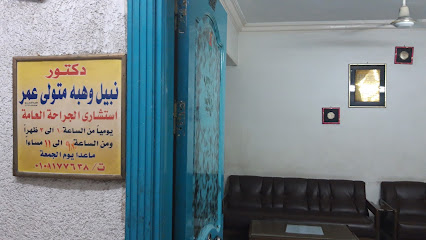 Nabil Wahba Metwally