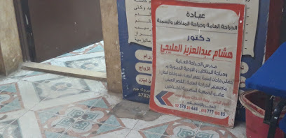 هشام عبدالعزيز المليجي