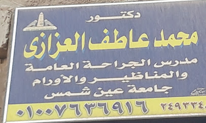Mohamed Atef El-Azazy