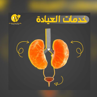أحمد فوزي التلاوي