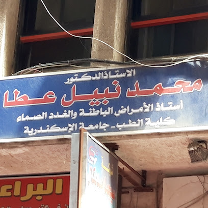محمد نبيل عطا