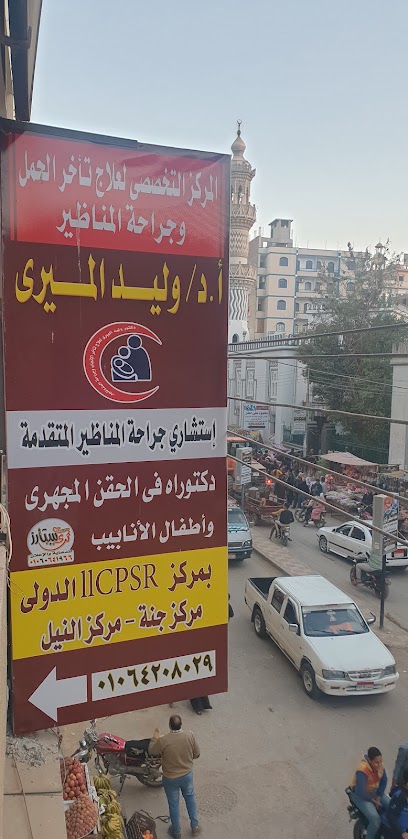 وليد حامد الميري