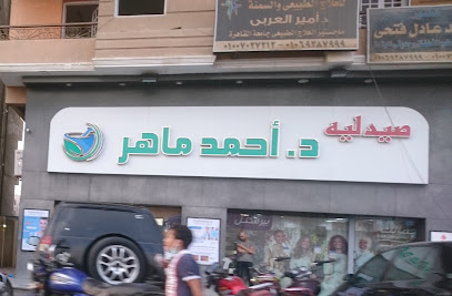 امير العربي
