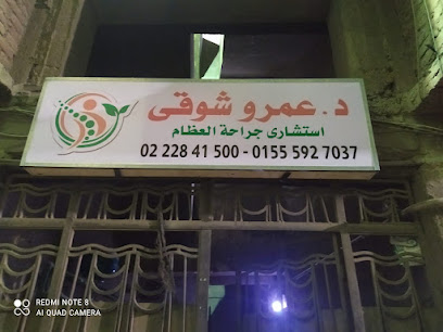 عمرو شوقي