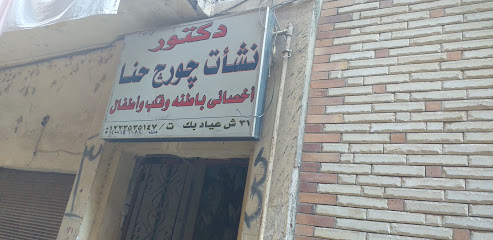نشأت جورج حنا