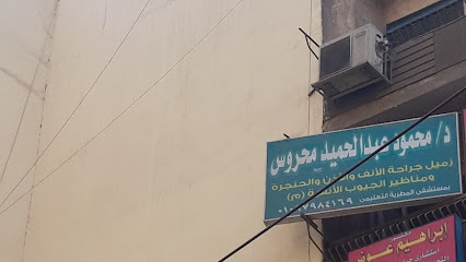 Mahmoud Abdelhamid Mhrws