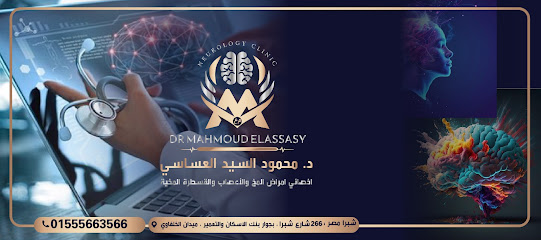 Mahmoud El-Asasy
