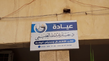 حسام عبدالله الغنيمى