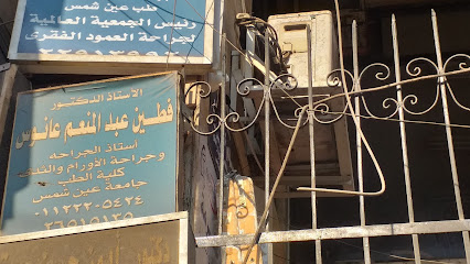 Ftyn Abdelmoneim Aanws