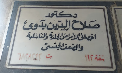 دكتورصلاح الدين بدوى