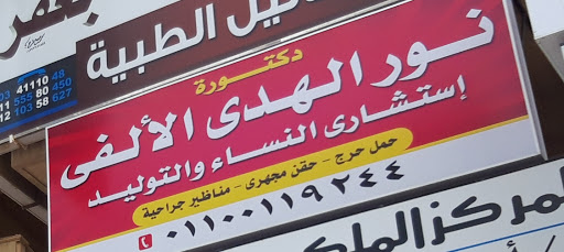 Nour El-Hoda El-Alfy