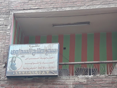 Shr Salah El-Sdawy