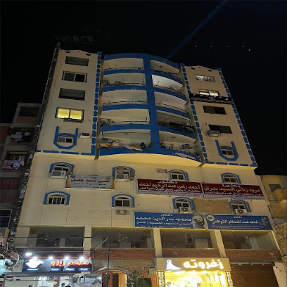 محمود بدر الدين