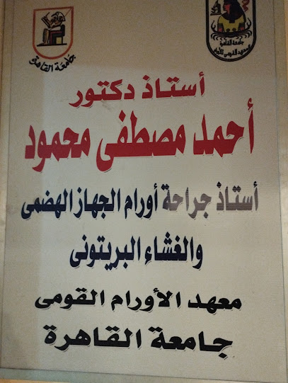 Ahmed Mostafa Mahmoud