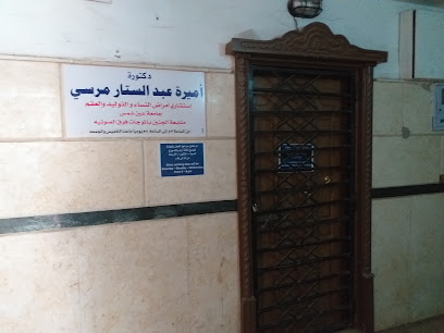 أميرة عبدالستار مرسي