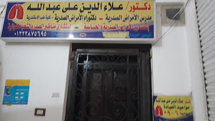 Ala Eldin Ali Abdallah