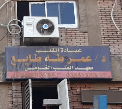 عمر طه طايع