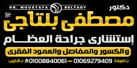 Mostafa Bltagy