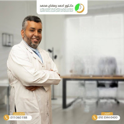 Ahmed Ramadan Mohamed