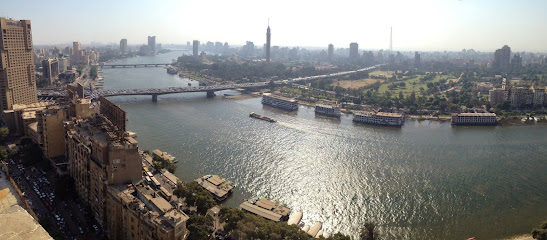 طارق انيس