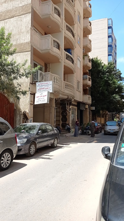 عمرو الكمشوشي