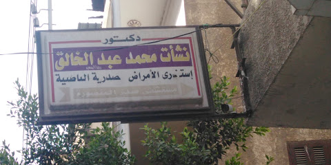 Nshat Mohamed Abdelkhalek